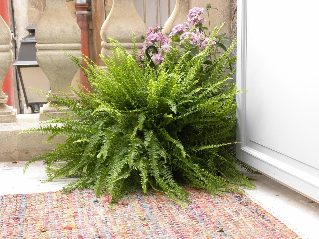 Appartamento La Terrasse du Marché aux Fleurs Montpellier Esterno foto