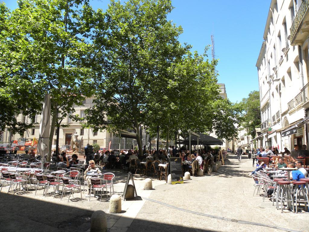 Appartamento La Terrasse du Marché aux Fleurs Montpellier Esterno foto
