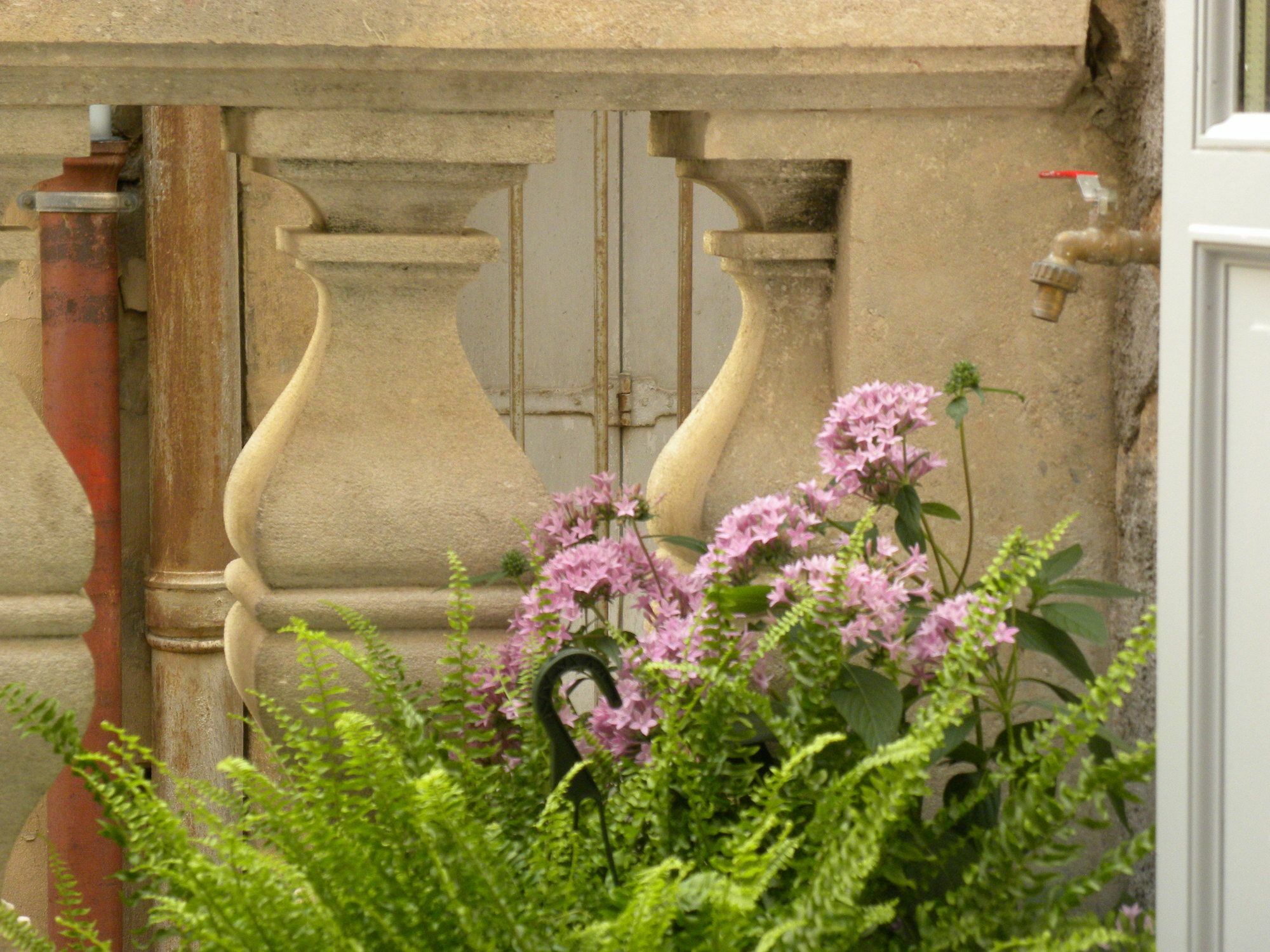 Appartamento La Terrasse du Marché aux Fleurs Montpellier Esterno foto